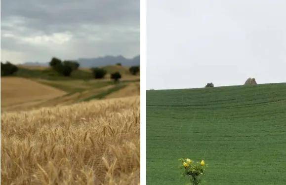 能自驾的5A级草原是新疆最不该被低估的宝藏。pg电子模拟器试玩距乌鲁木齐仅3小时