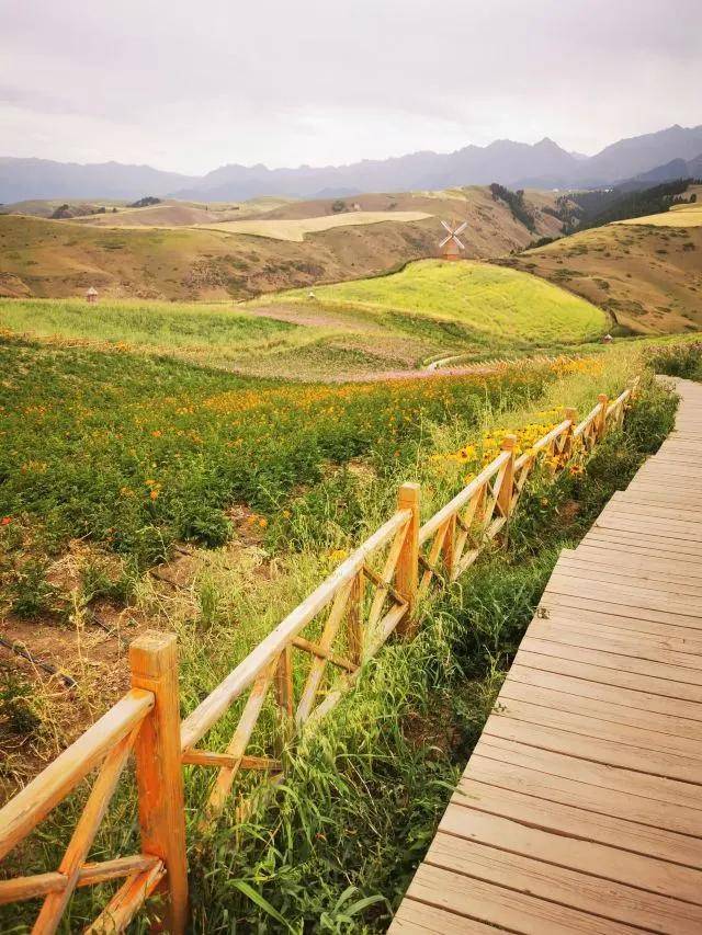 能自驾的5A级草原是新疆最不该被低估的宝藏。pg电子模拟器试玩距乌鲁木齐仅3小时！这个(图9)