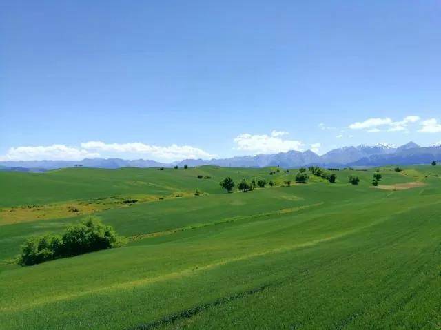 能自驾的5A级草原是新疆最不该被低估的宝藏。pg电子模拟器试玩距乌鲁木齐仅3小时！这个(图10)