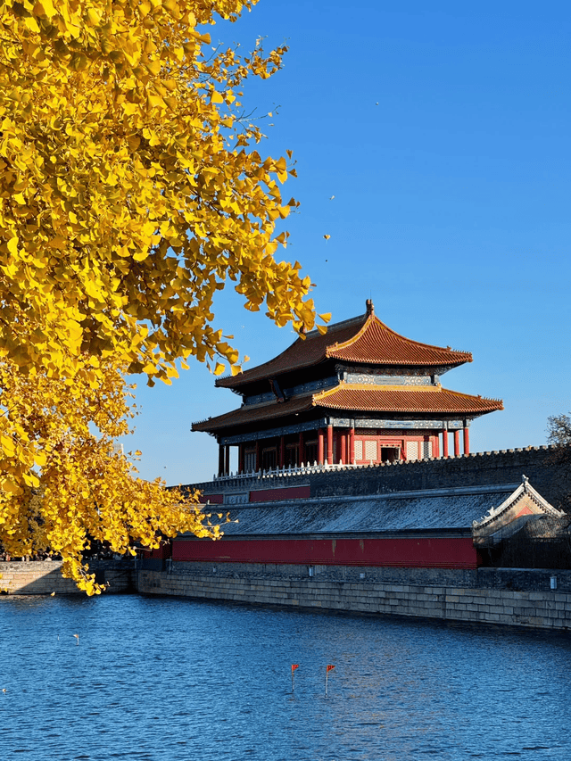 行社亲子游路线简直堪称遛娃“神助攻”pg电子模拟器惊了！北京正规十大旅(图2)